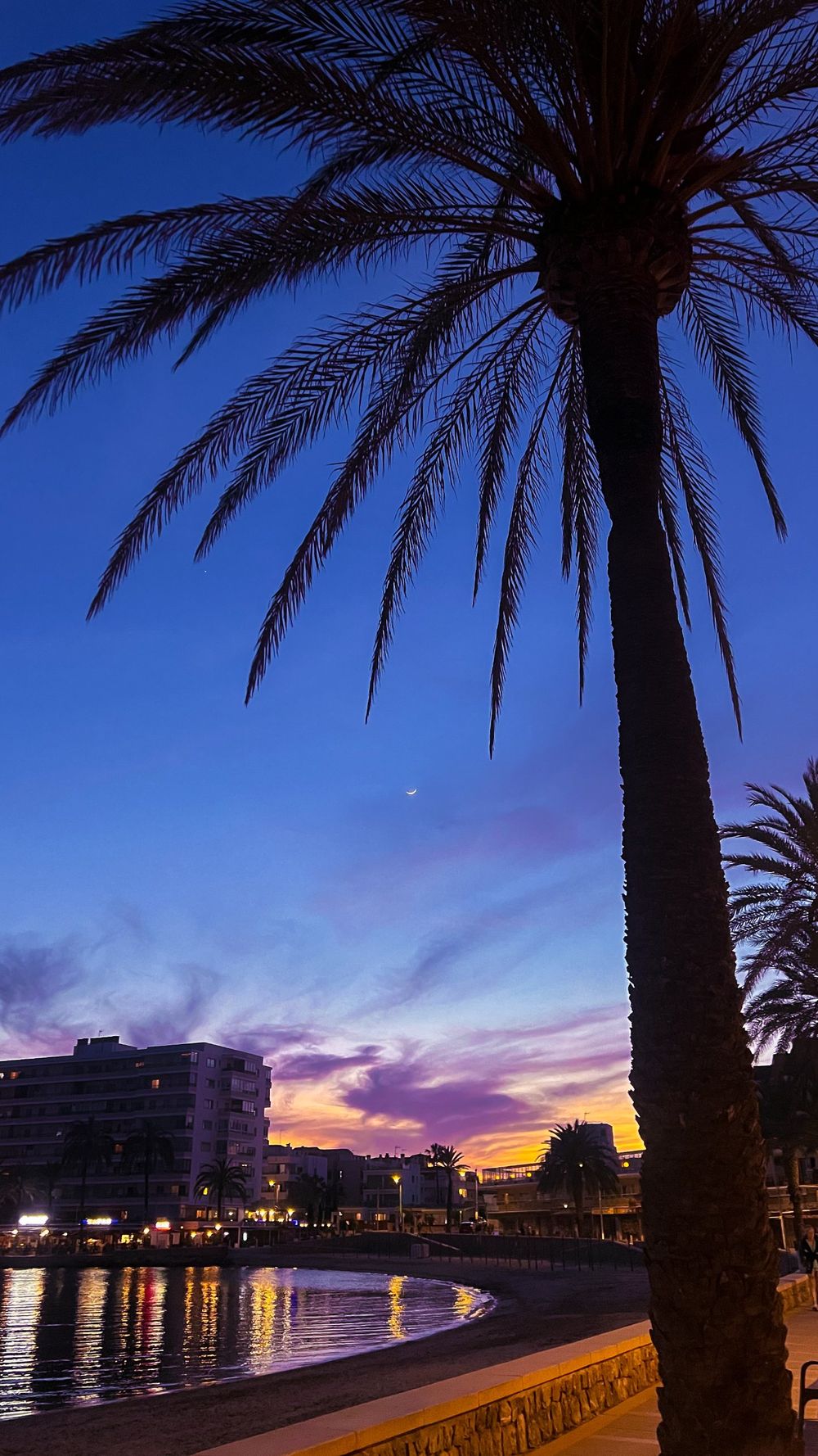 Silhouette of a palm tree at dusk beside a seaside promenade, with a crescent moon and a purple and orange sky