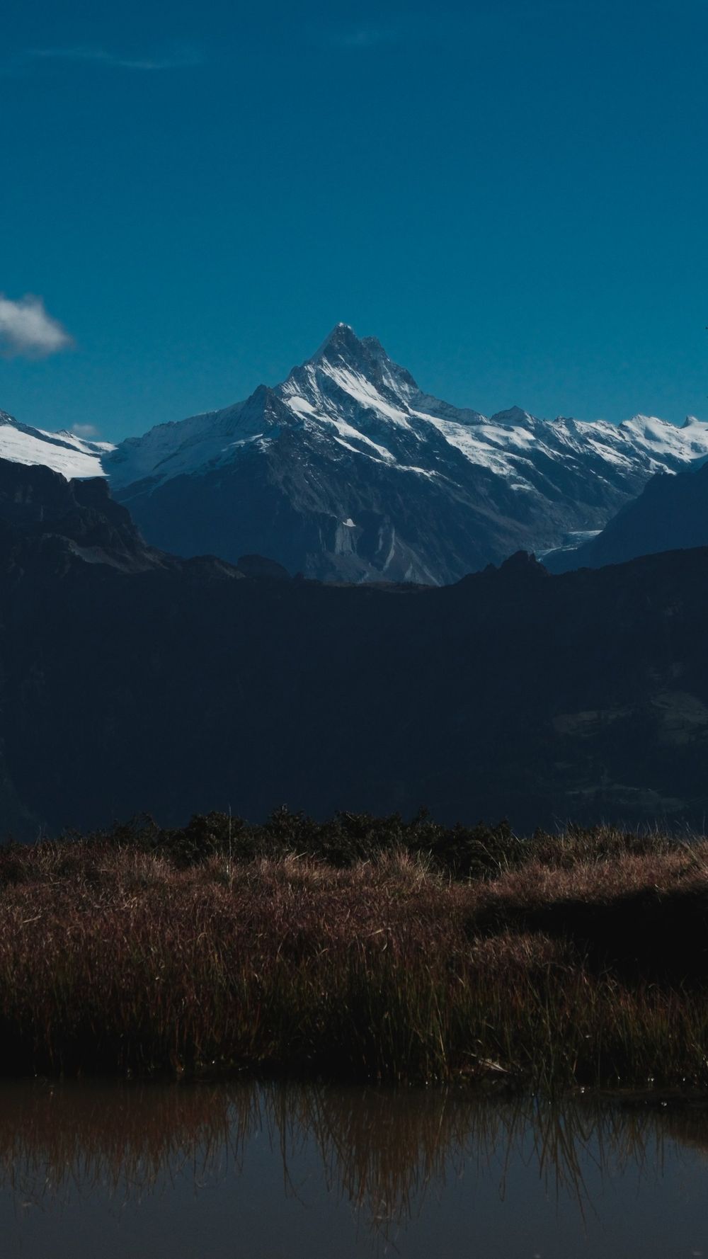 A snow-covered mountain peak under a deep blue sky above dark ridges and a grassy pond